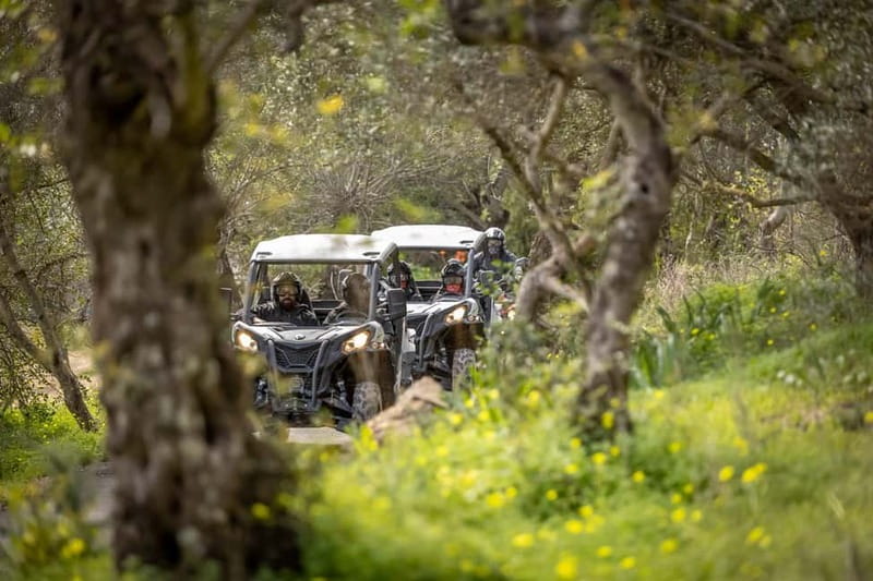 Porto: Dirt and Dust Tour by Oporto Buggy - Key points before you book
