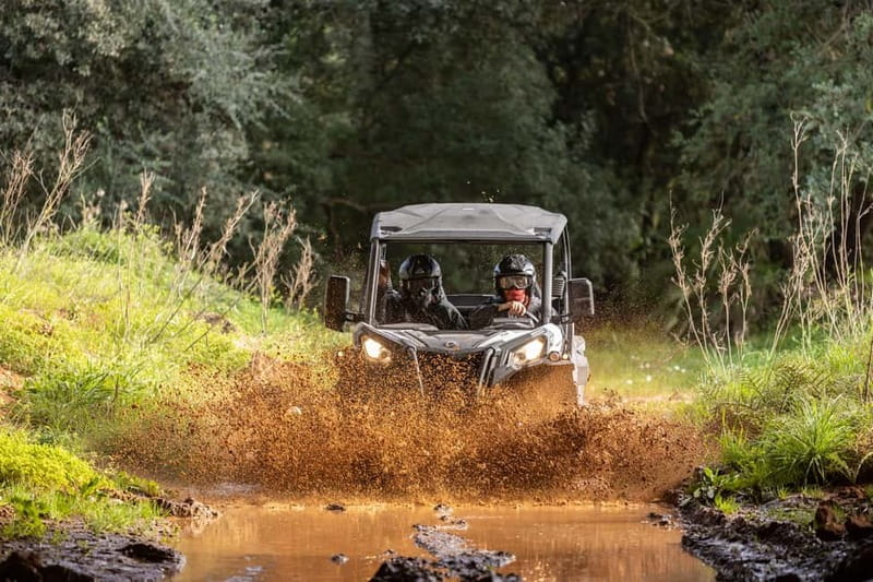 Porto: Dirt and Dust Tour by Oporto Buggy - What the rough terrain feels like