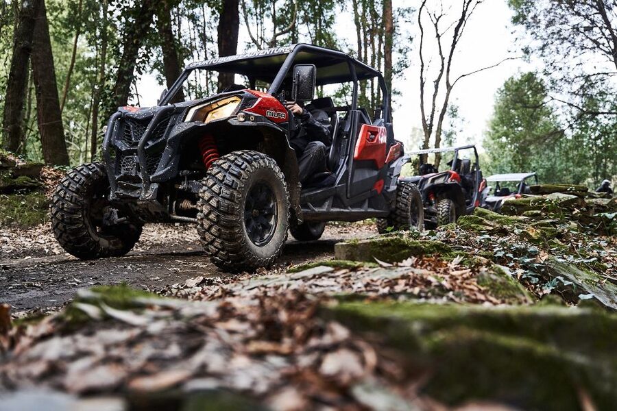 Porto: Dirt and Dust Tour by Oporto Buggy - Who will enjoy it most?