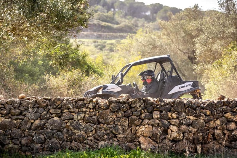 Porto: Dirt and Dust Tour by Oporto Buggy - Timing, pickup, and cancellation details