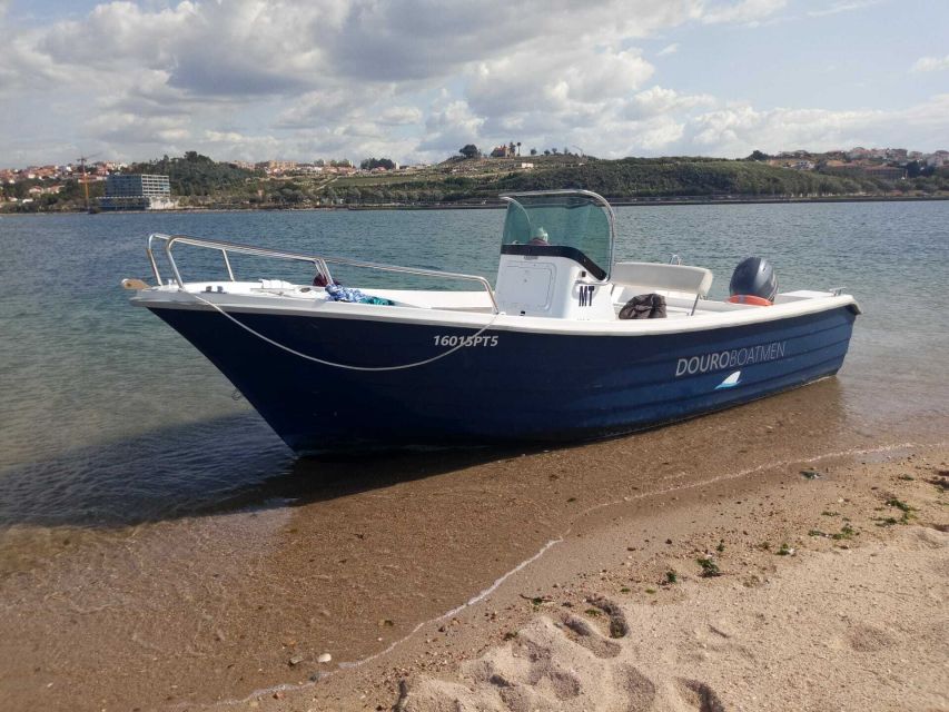 Porto: Douro River Cruise w/ Portuguese Wines & Local Host - The local skipper makes the difference