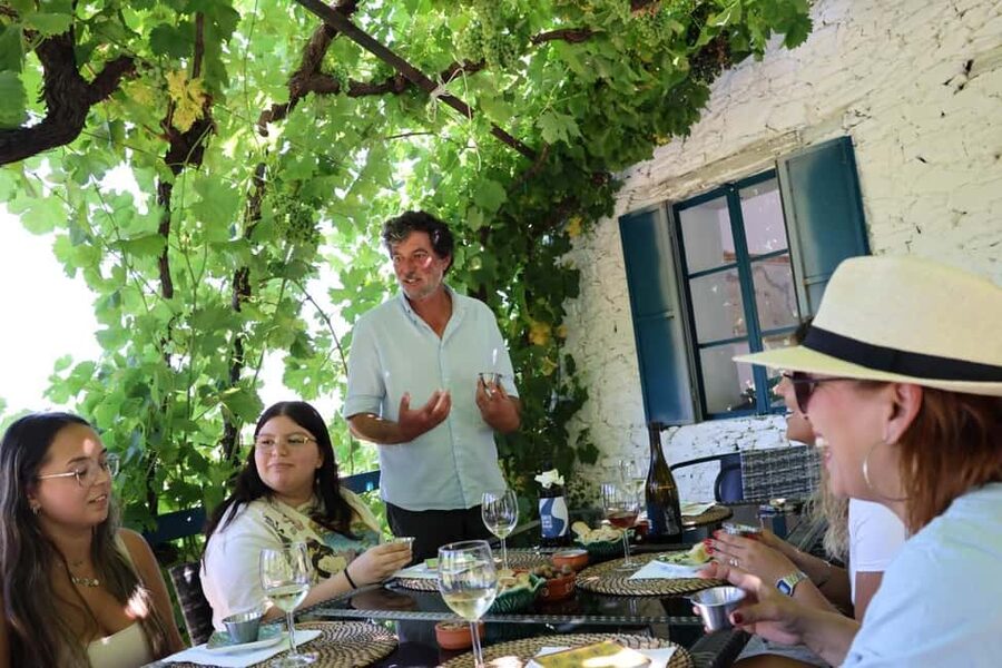 Porto: Douro Valley, 2 Wineries, Lunch, and 1-Hour Boat Tour - Key points at a glance