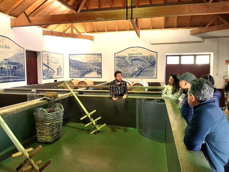 Porto: Douro Valley, 2 Wineries, Lunch & Private Boat Trip - Viewpoints that put the valley in context