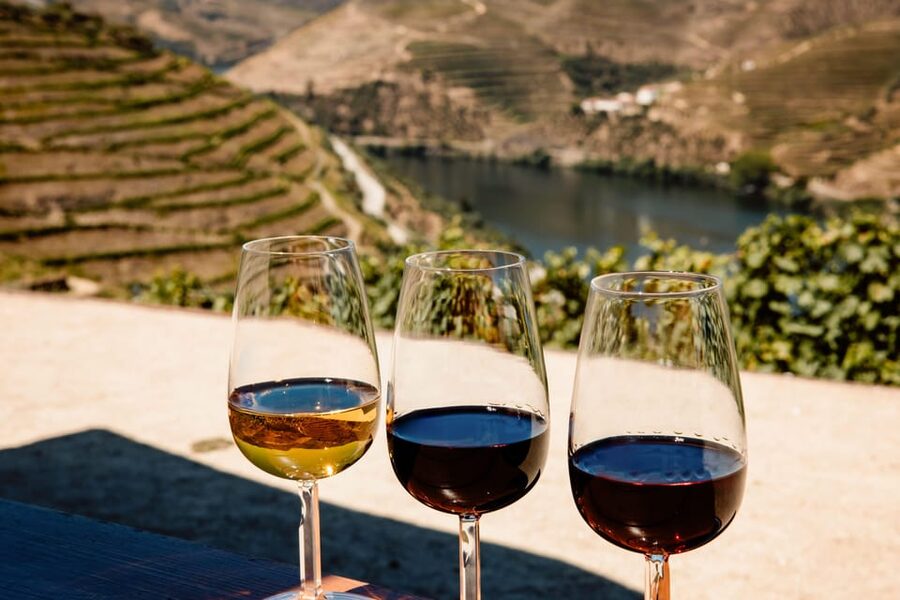 Porto: Douro Valley & Amarante Wine, Food & River Tour - Why This Porto Day Trip Works