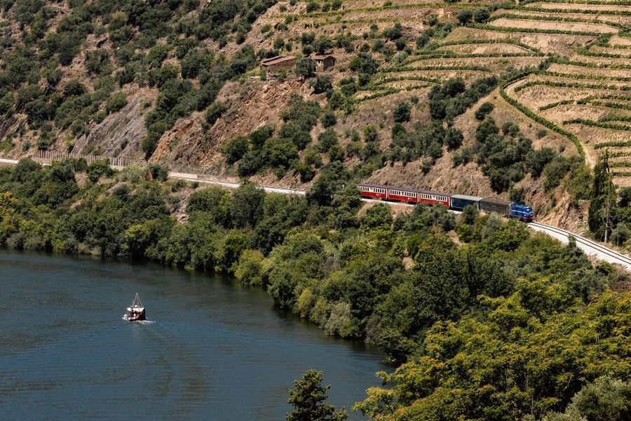 Porto: Douro Valley Full-Day Boat, Train, and Lunch Tour - Why the Douro Valley deserves a full day from Porto