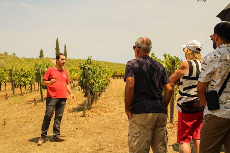Porto: Douro Valley History & Wine Tour with Cruise & Lunch - Key points to know before booking