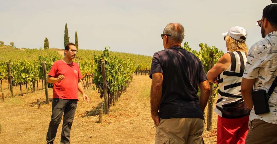 Porto: Douro Valley History & Wine Tour with Cruise & Lunch - Why this day works for a first Douro visit