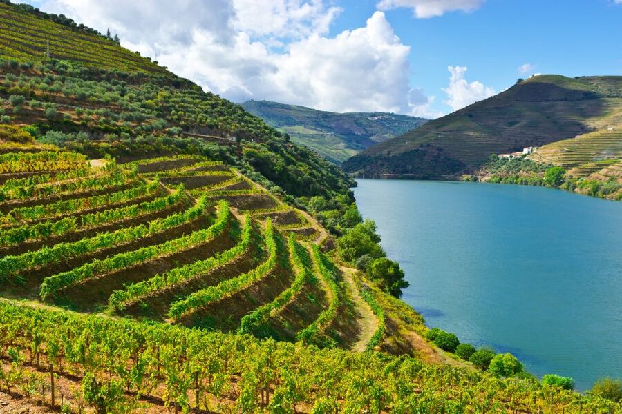 Porto: Douro Valley History & Wine Tour with Cruise & Lunch - Amarante, the first taste of northern Portugal