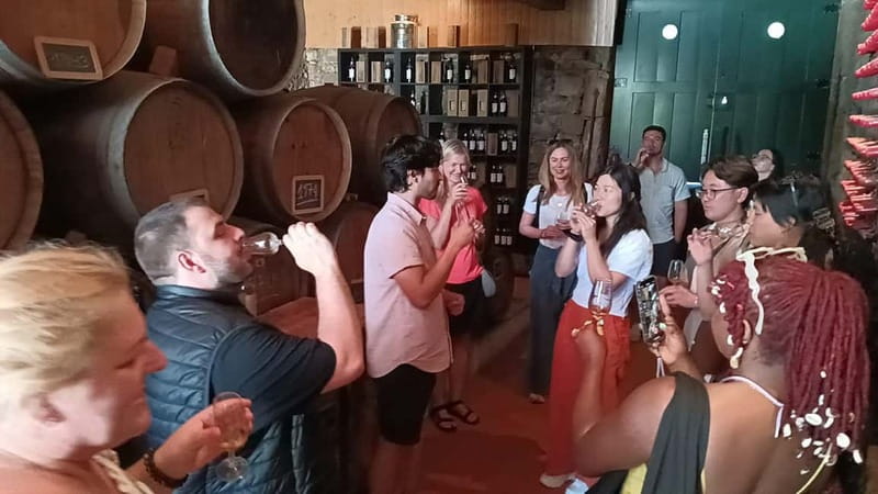 Porto: Douro Valley Tour at 2 Wineries with Lunch and Cruise - FAQ