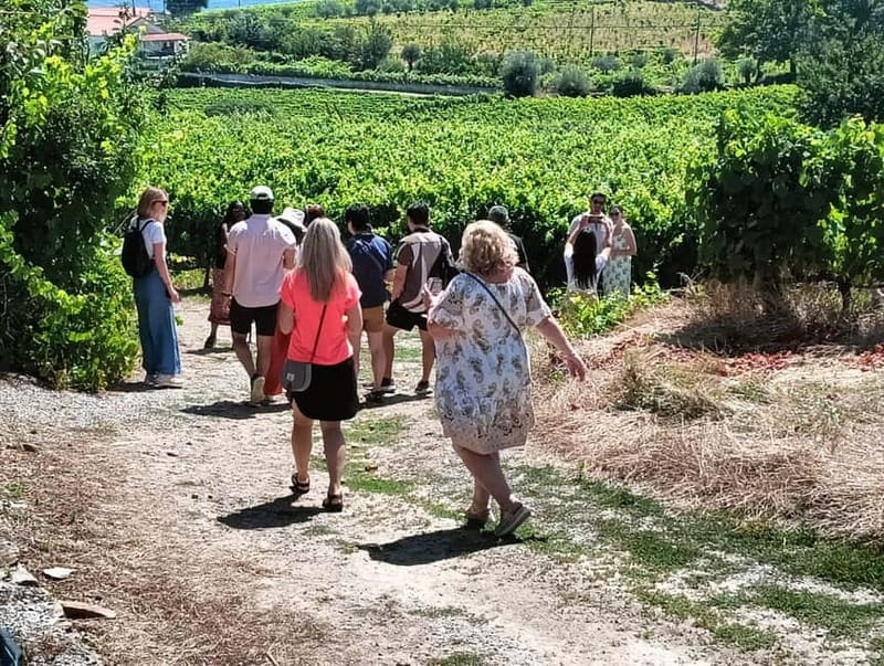 Porto: Douro Valley Tour at 2 Wineries with Lunch and Cruise - The drive from Porto to the Douro Valley