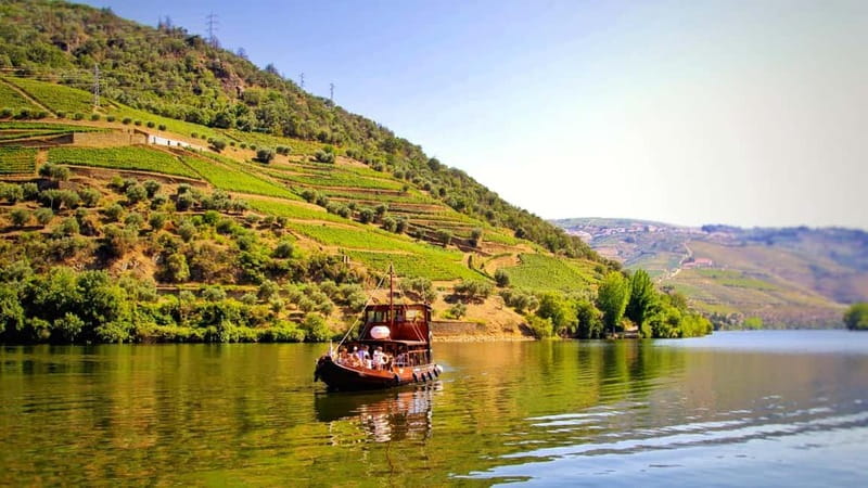 Porto: Douro Valley Tour at 2 Wineries with Lunch and Cruise - Lunch among the vines near Sabrosa