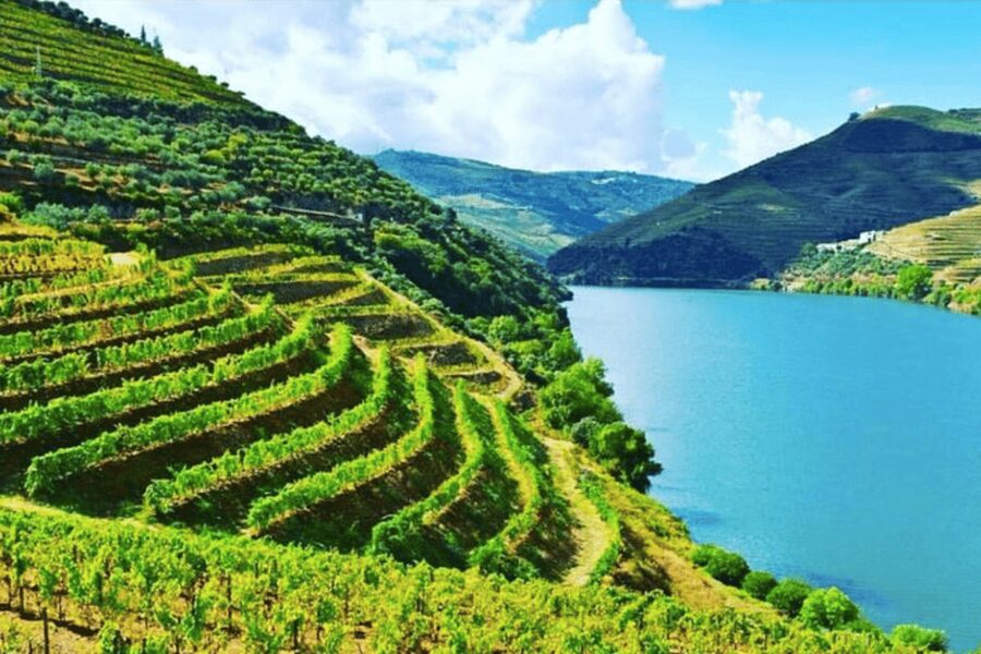 Porto: Douro Valley Tour w/ 3 Tastings, Lunch, & Opt. Cruise - Key points to know before booking
