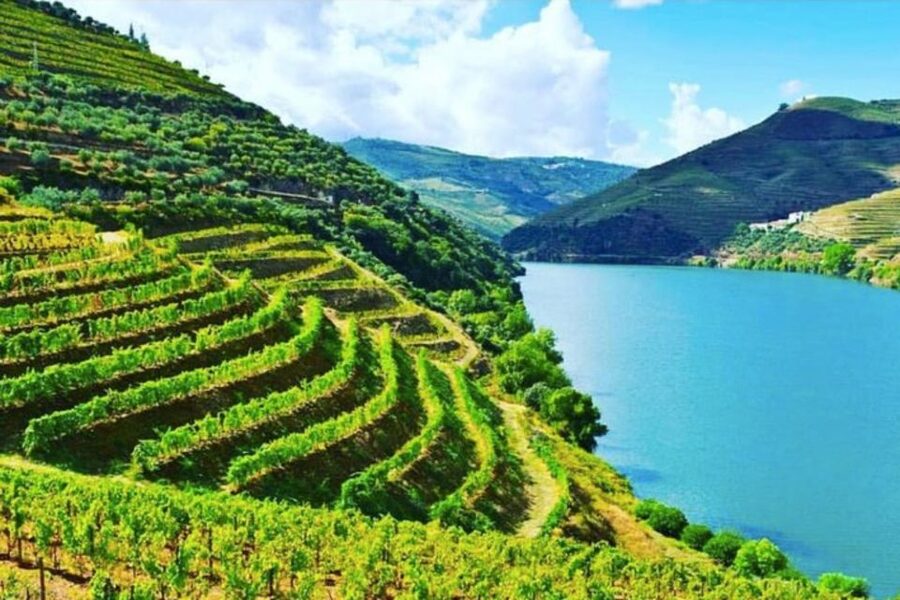 Porto: Douro Valley Tour w/ 3 Tastings, Lunch, & Opt. Cruise - Pinhão station and the optional river cruise