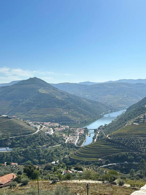 Porto: Douro Valley Tour w/ 3 Tastings, Lunch, & Opt. Cruise - Olive oil, Port, and the tasting after lunch