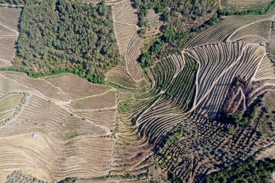 Porto: Douro Valley Tour w/ 3 Tastings, Lunch, & Opt. Cruise - The small van and the value of a guide