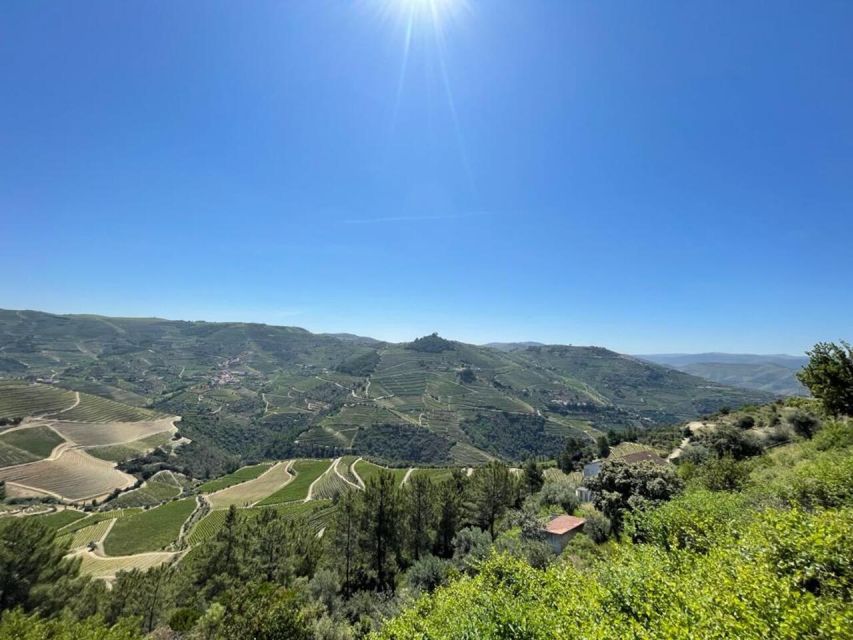 Porto: Douro Valley Tour with 2 Wineries, Lunch and Cruise - Key points to know before booking