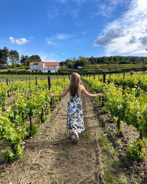 Porto: Douro Valley Tour with 2 Wineries, Lunch and Cruise - What the $117 price really buys you