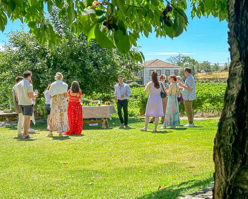 Porto: Douro Valley Tour with 2 Wineries, Lunch and Cruise - Why the Douro Valley deserves a full day from Porto