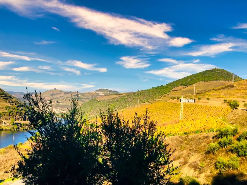 Porto: Douro Valley Tour with 2 Wineries, Lunch and Cruise - Pinhão and the one-hour Douro River cruise
