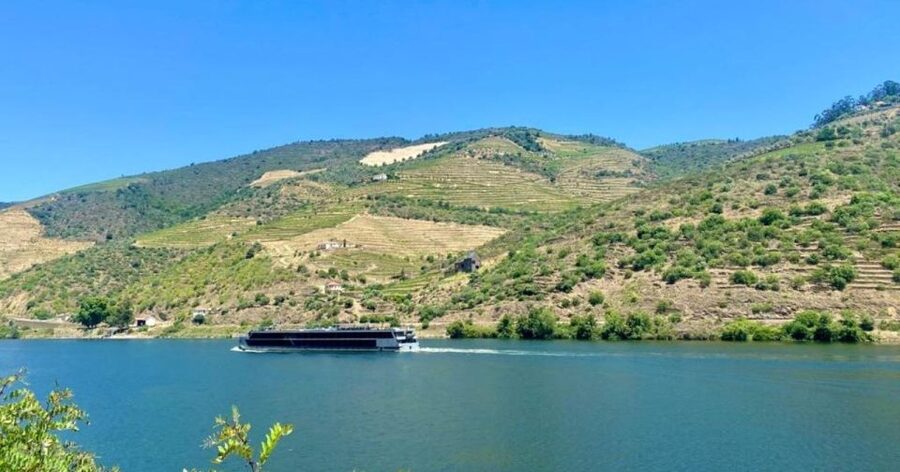Porto: Douro Valley Tour with 2 Wineries, Lunch and Cruise - Lunch at a family winery in Sabrosa