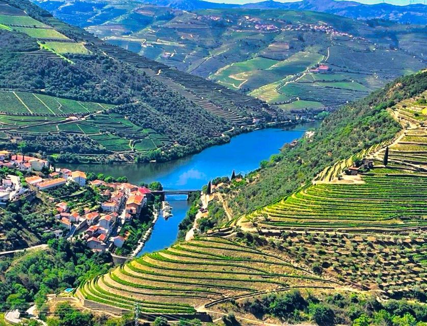 Porto: Douro Valley Tour with 2 Wineries, Lunch and Cruise - The second winery and the meaning of Port