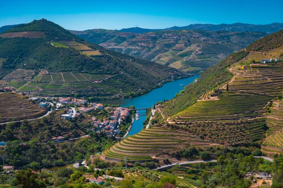 Porto: Douro Valley Tour with Lunch, Boat Cruise & Tastings - The second cellar, wine shop, and olive oil tasting
