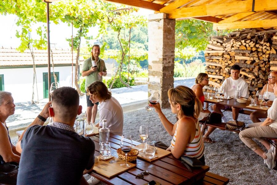 Porto: Douro Valley Tour with Lunch, Boat Cruise & Tastings - The N222 road and the best photo opportunities