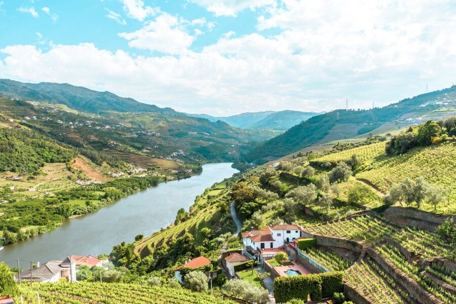 Porto: Douro Valley Tour with Wine Tasting, Cruise and Lunch - Why this Porto day trip works