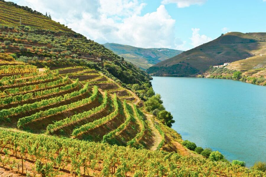 Porto: Douro Valley Tour with Wine Tasting, Cruise and Lunch - Who should book this Douro Valley tour?
