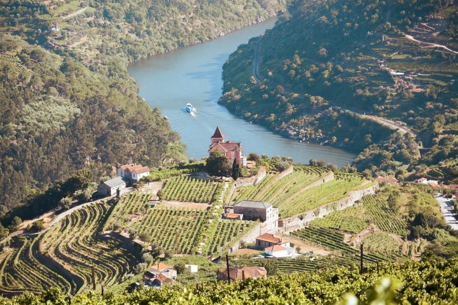 Porto: Douro Valley Tour with Wine Tasting, Cruise and Lunch - A traditional lunch with local wine