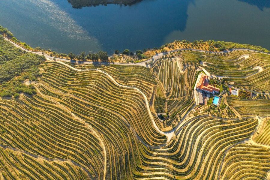 Porto: Douro Valley Tour with Wine Tasting, Cruise and Lunch - The guides make the long day easier