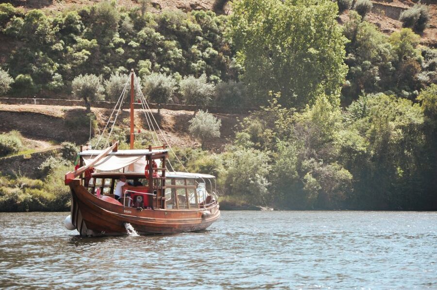 Porto: Douro Valley Tour with Wine Tasting, Cruise and Lunch - Is $76 good value?