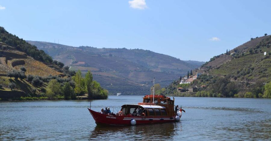 Porto: Douro Valley Vineyards Tour with Lunch & River Cruise - Why the Douro Valley makes a rewarding day from Porto
