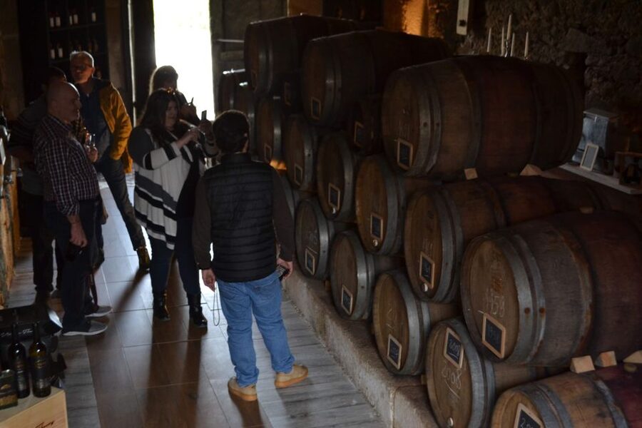 Porto: Douro Valley Vineyards Tour with Lunch & River Cruise - Lamego and the first wine tasting