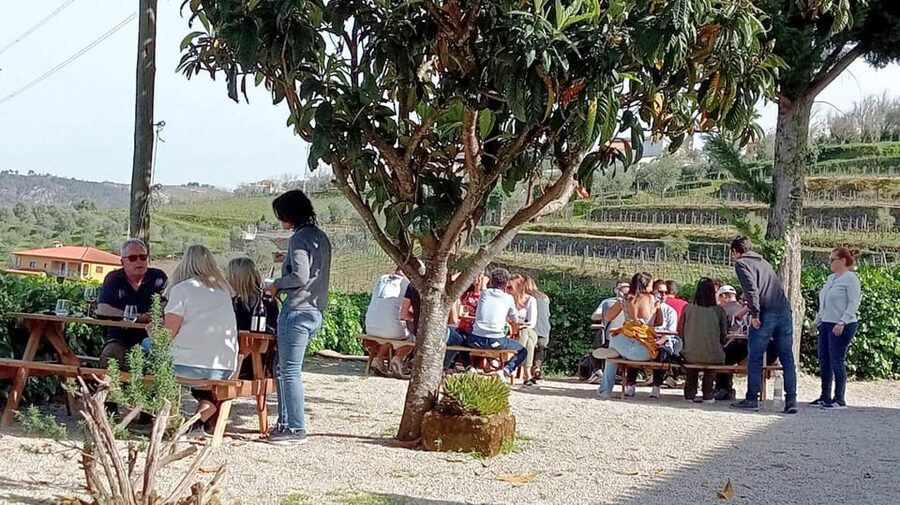 Porto: Douro Valley Vineyards Tour with Lunch & River Cruise - The second family winery near Sabrosa