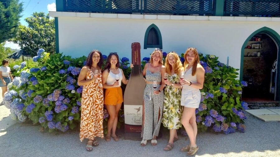Porto: Douro Valley Vineyards Tour with Lunch & River Cruise - Group size, guiding, and comfort