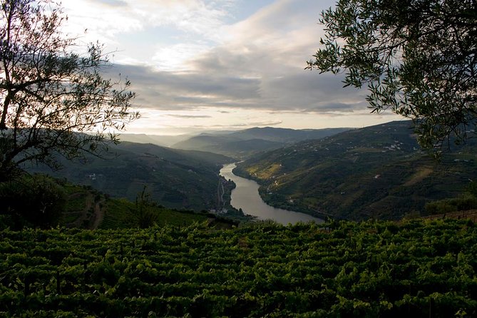 Porto: Douro Valley Wine Tour Including Lunch - The N222 and the Viewpoint near São Cristóvão do Douro