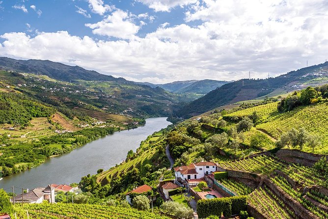 Porto: Douro Valley Wine Tour Including Lunch - The Second Winery at Folgosa