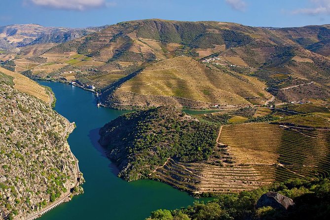 Porto: Douro Valley Wine Tour Including Lunch - Transport, Walking, and the Long Day