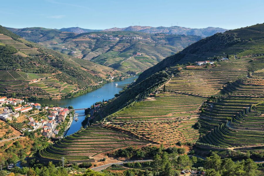 Porto: Douro Valley Wine Tour with a Sommelier & Boat Trip - Why this makes a good Douro day trip from Porto