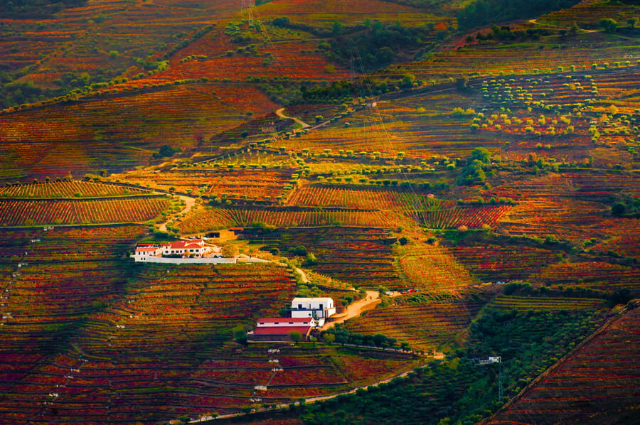 Porto: Douro Valley Wine Tour with a Sommelier & Boat Trip - Lunch in Pinhão with Douro DOC wine