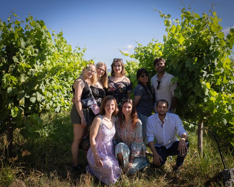 Porto: Douro Valley Wine Tour with a Sommelier & Boat Trip - The second winery and aged Port