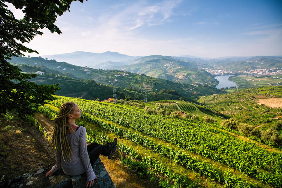 Porto: Douro Valley Wine Tour with a Sommelier & Boat Trip - What the $127 price really covers