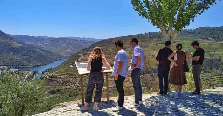 Porto: Douro Valley Wine Tour with Tastings, Boat, and Lunch - Is $153 a Fair Price?