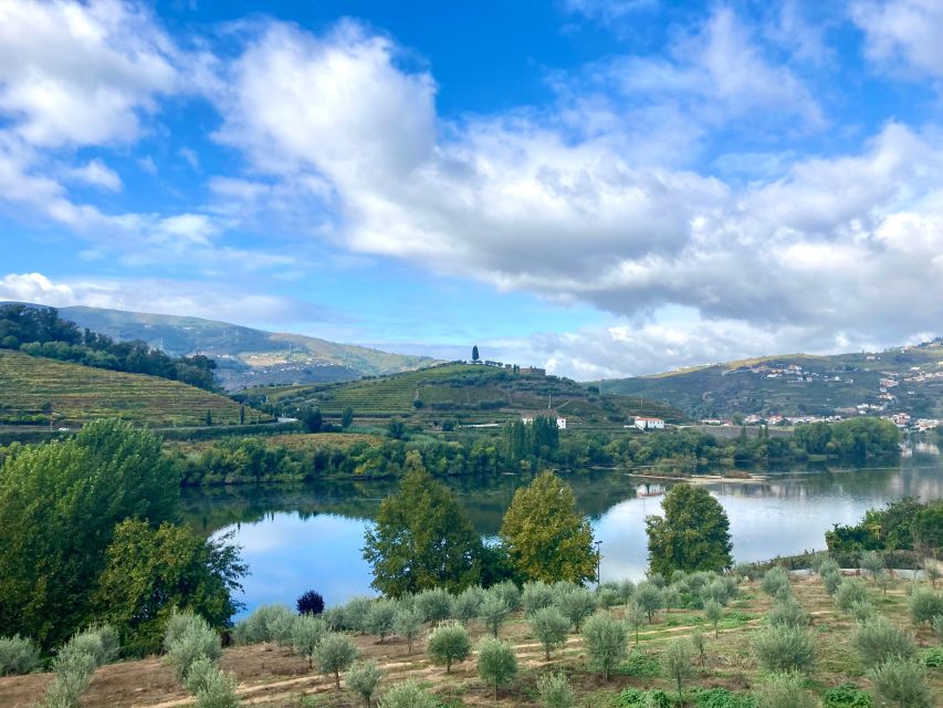 Porto: Douro Valley Wine Tour with Tastings, Boat, and Lunch - From Porto to Peso da Régua in 70 Minutes