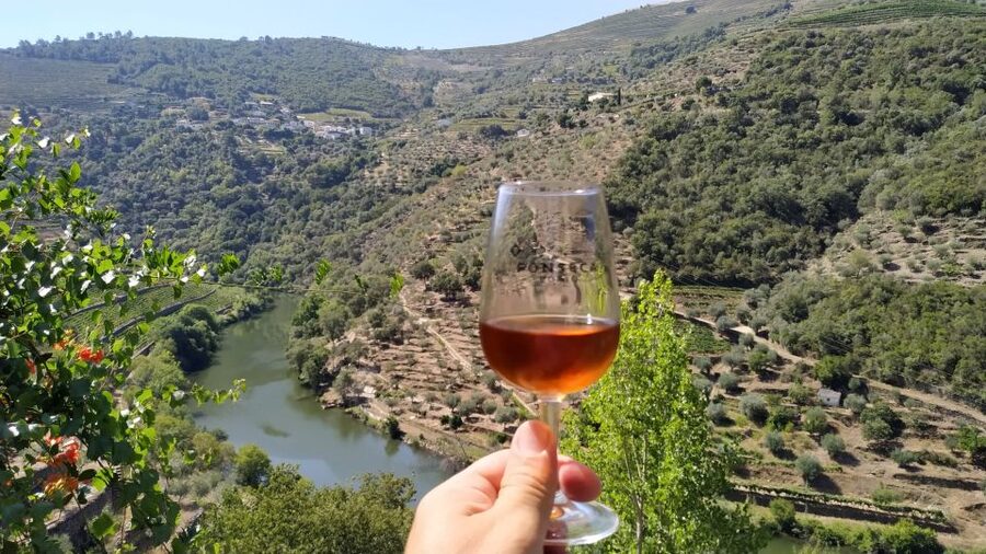Porto: Douro Valley Wine Tour with Tastings, Boat, and Lunch - The 70-Minute Return to Porto