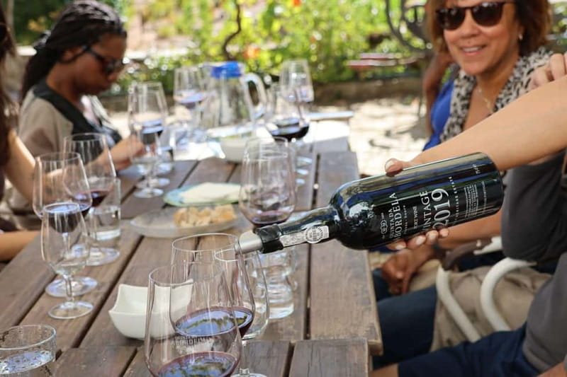 Porto: Douro Valley with Small Wineries, Lunch and Boat Tour - Why the small wineries change the day