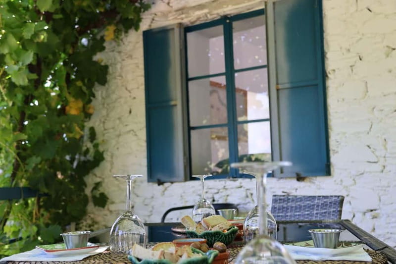 Porto: Douro Valley with Small Wineries, Lunch and Boat Tour - A traditional Portuguese lunch