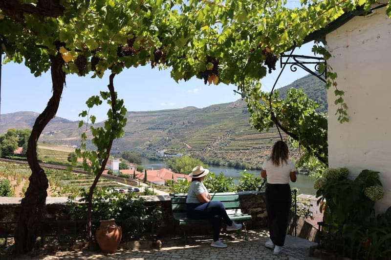 Porto: Douro Valley with Small Wineries, Lunch and Boat Tour - The second winery and the ride home