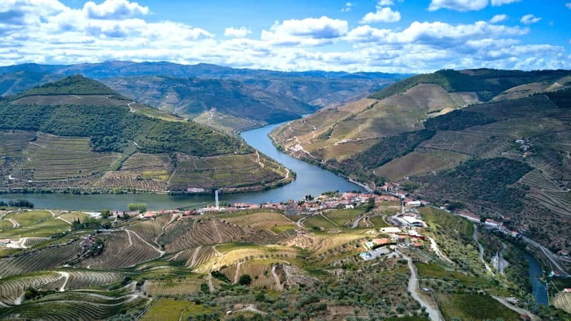 Porto: Douro Wine Tour with Lunch and River Cruise - Should you book it?